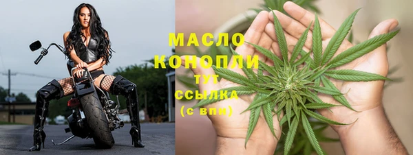 стаф Гусев