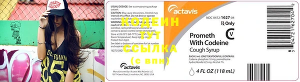 стаф Гусев