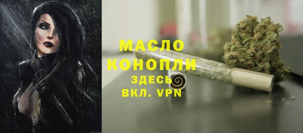 стаф Гусев