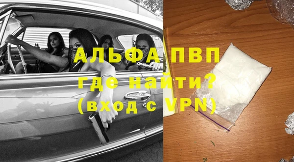 стаф Гусев