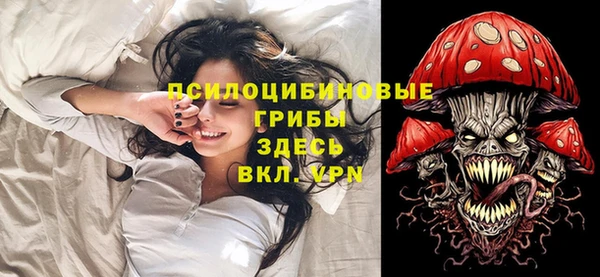 стаф Гусев
