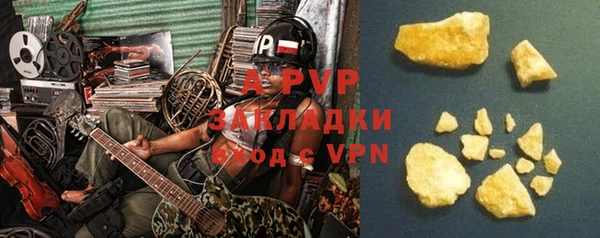 стаф Гусев
