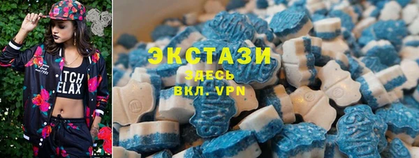 стаф Гусев