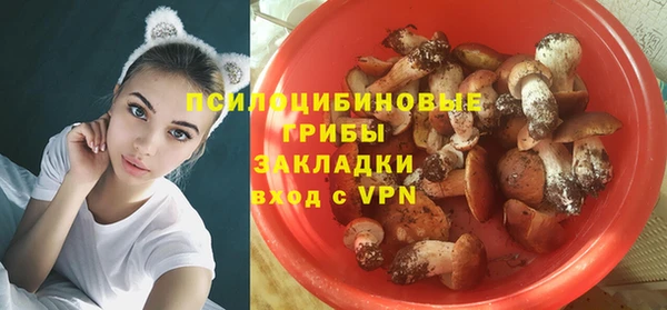 прущий лед Гусь-Хрустальный