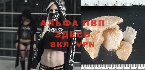 стаф Гусев
